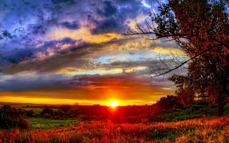 Sunset over a Field — Orange, Dramatic, Photograph, Sky