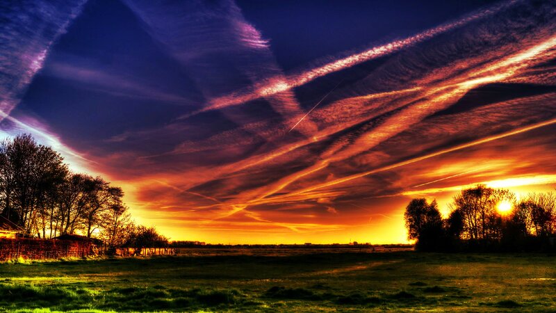 Sunset over a Field — Orange, Dramatic, Photograph, Trees, Sky