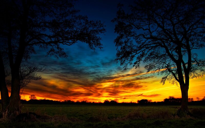 Sunset over a Field — Orange, Dramatic, Photograph, Trees