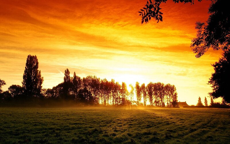 Sunset over a Field — Orange, Serene, Photograph, Trees, Sky, Grass