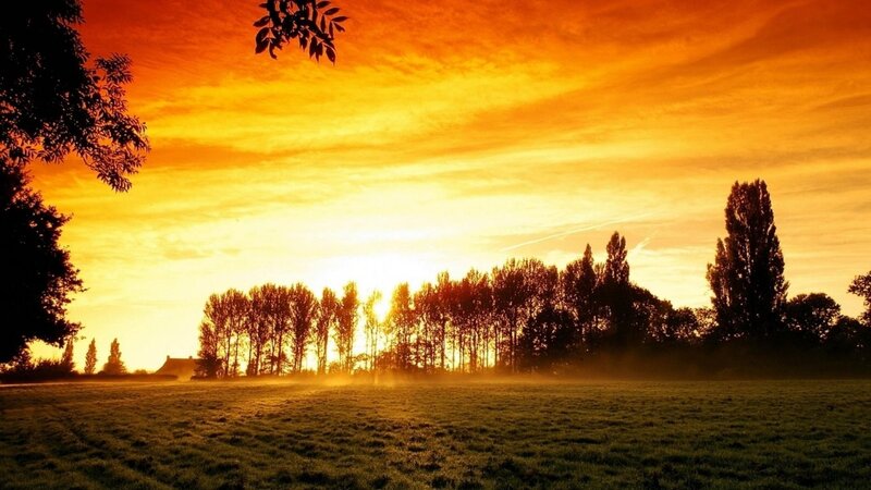 Sunset over a Field — Orange, Serene, Photograph, Trees, Sky