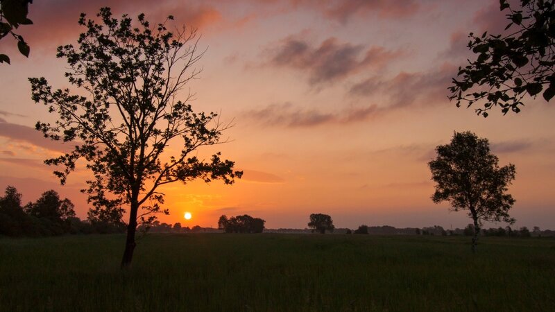Sunset over a Field — Orange, Serene, Photograph, Trees
