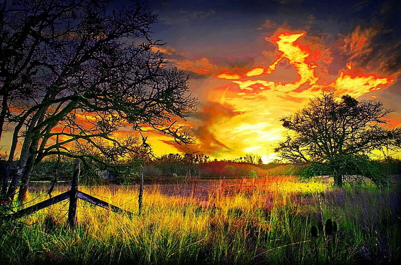 Sunset over a Field — Orange