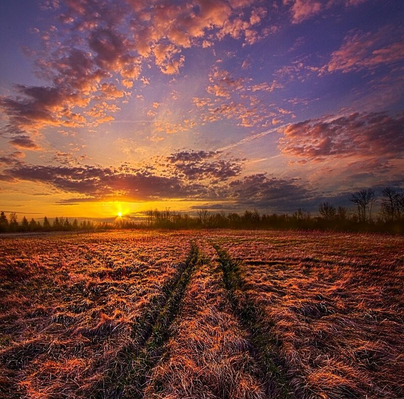Sunset over a Field — Purple, Dramatic