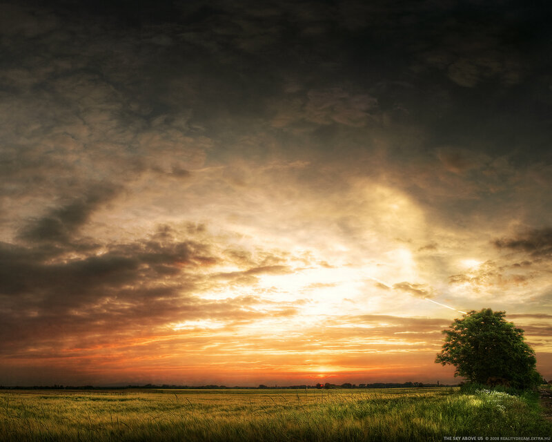 Sunset over a field with a tree