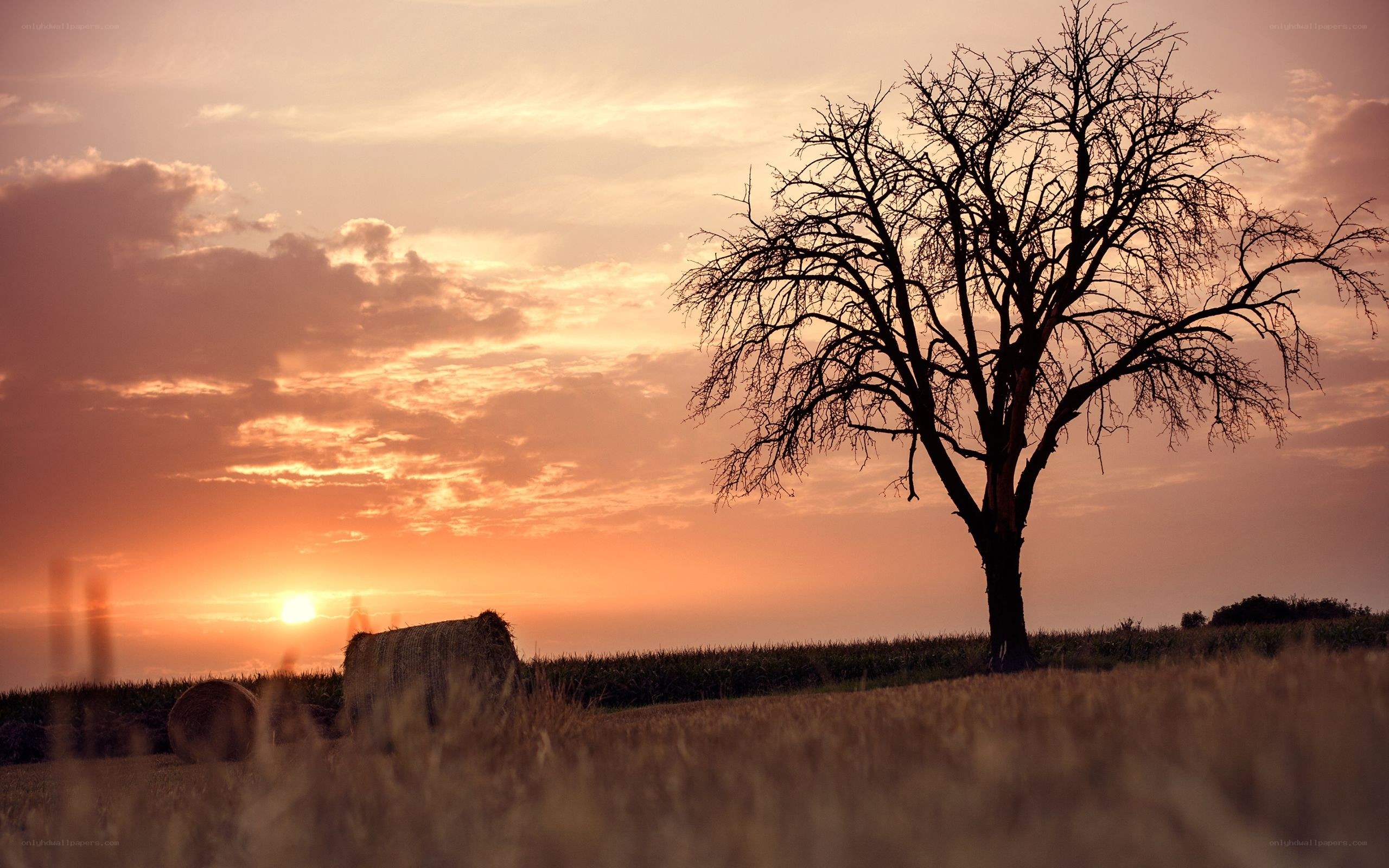 sunset over a field with hay bales