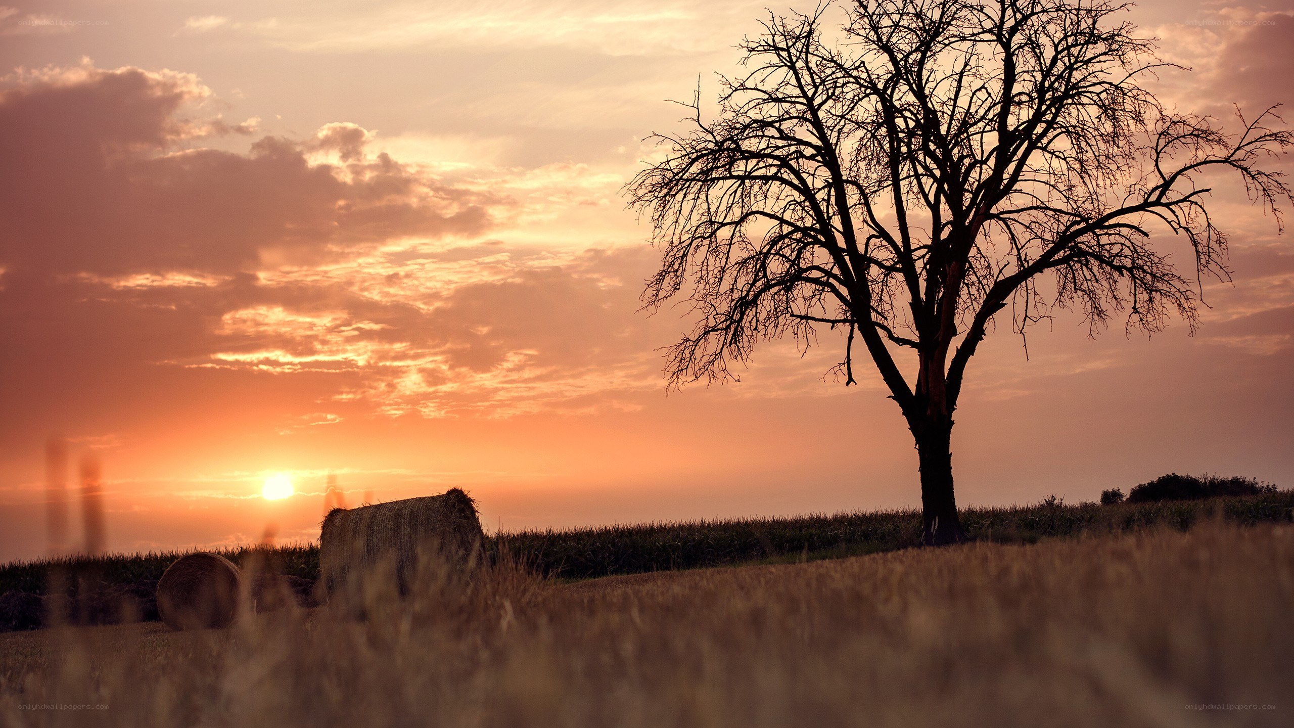 sunset over a field with hay bales