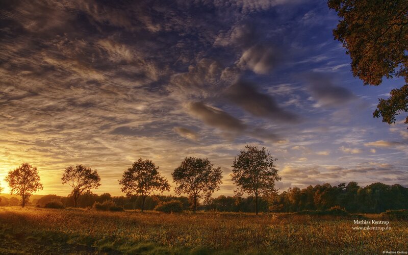 Sunset over a field with trees