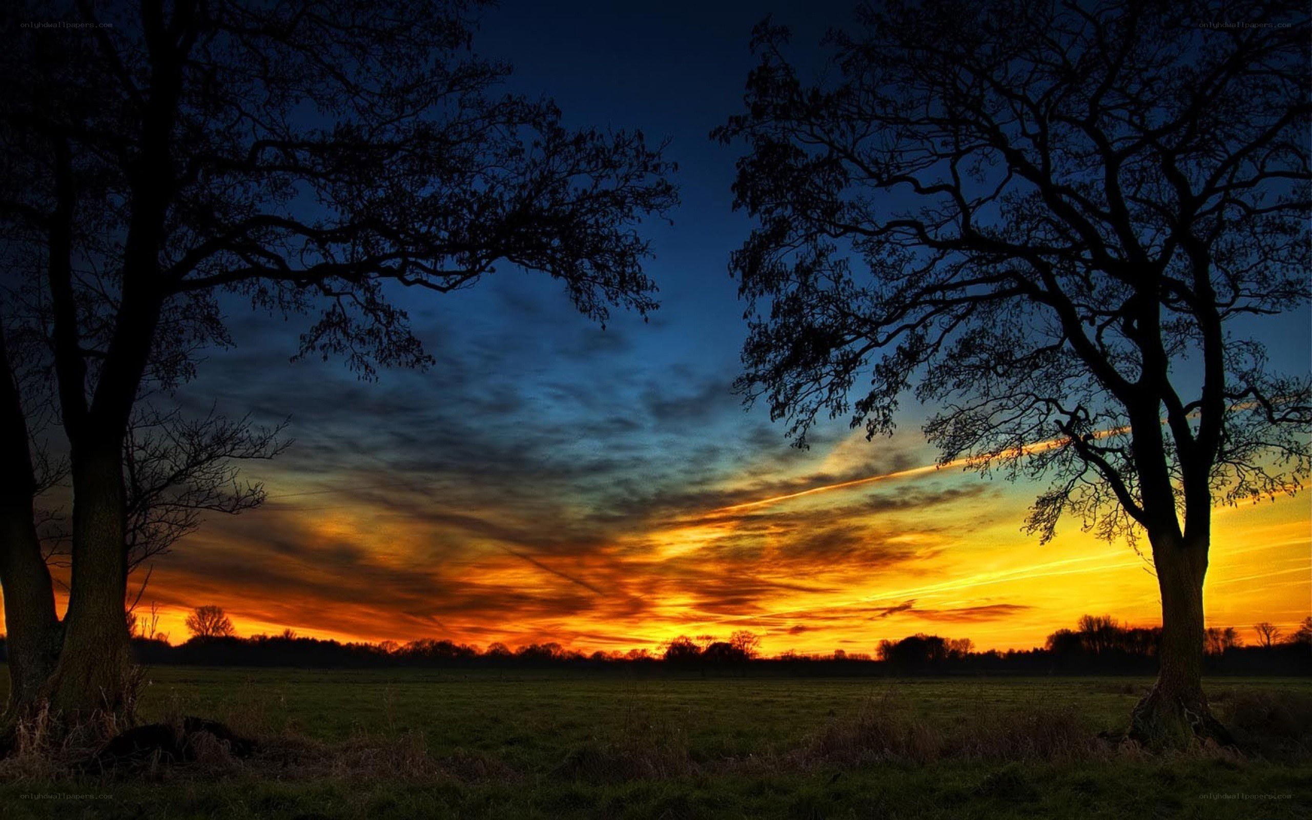 Sunset over a field with trees