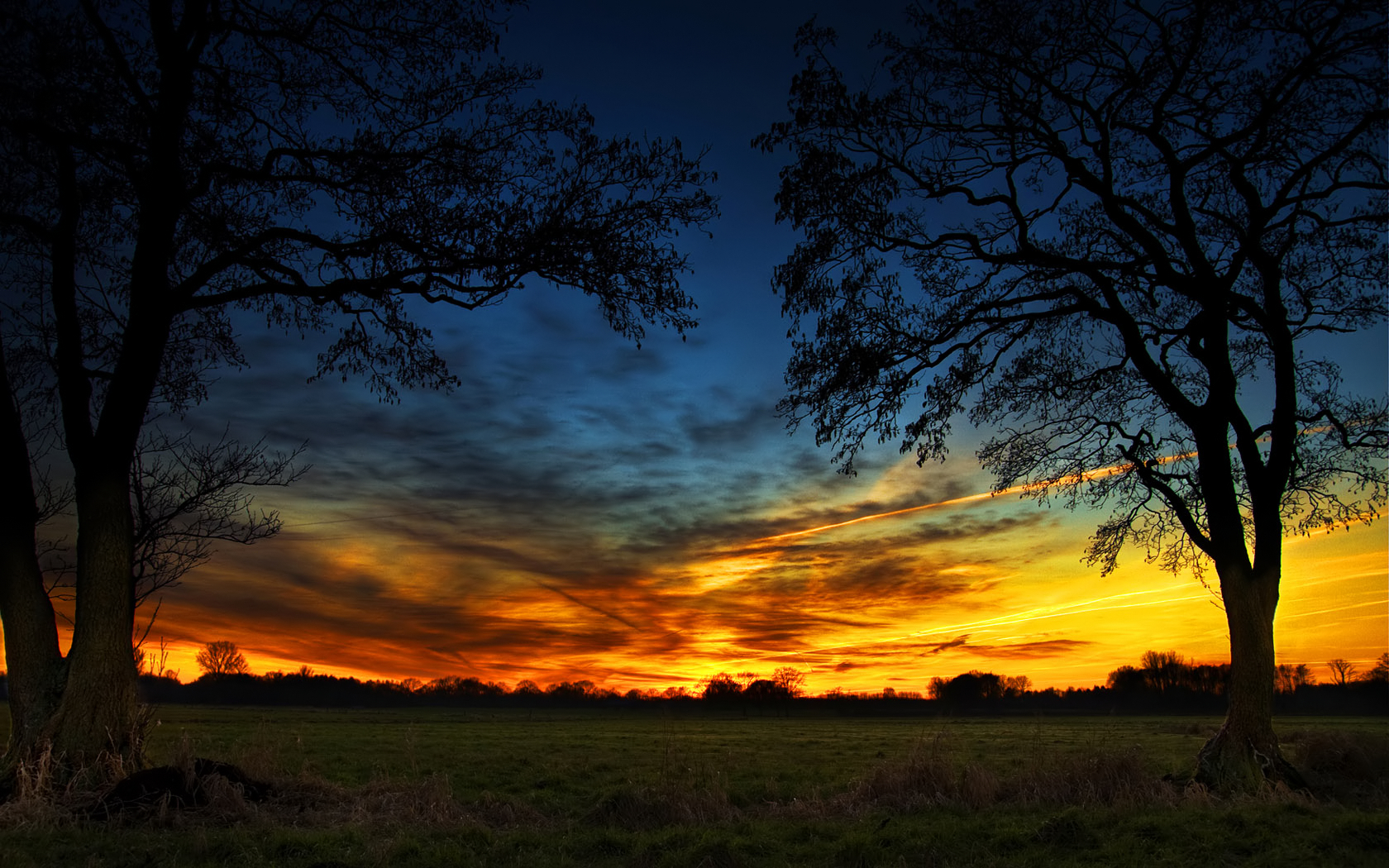 Sunset over a field with trees