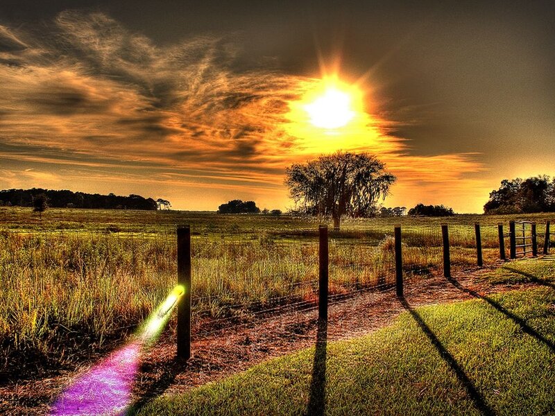 Sunset over a Field — Yellow, Dramatic