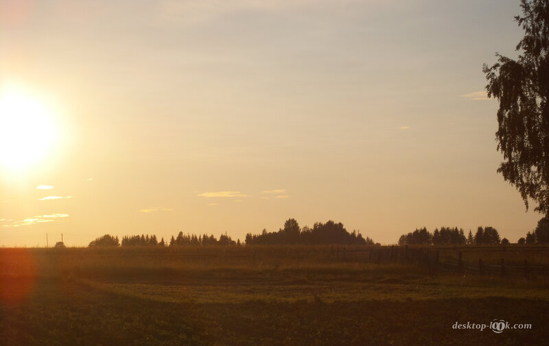 Sunset over a Field — Yellow