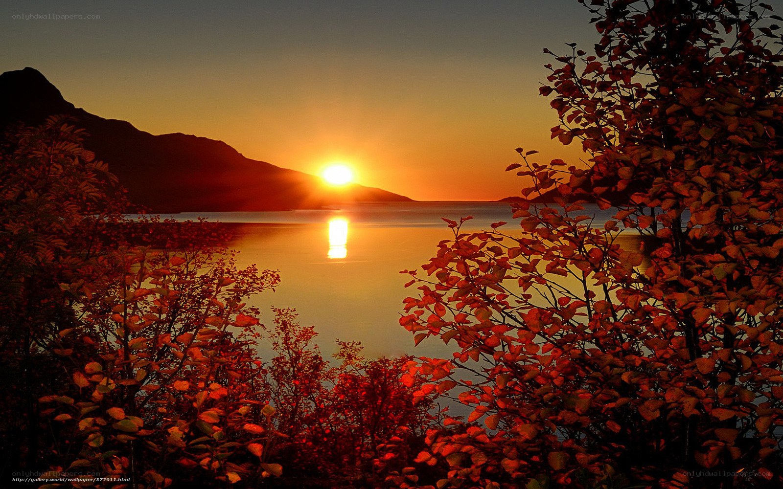 Sunset over a fjord