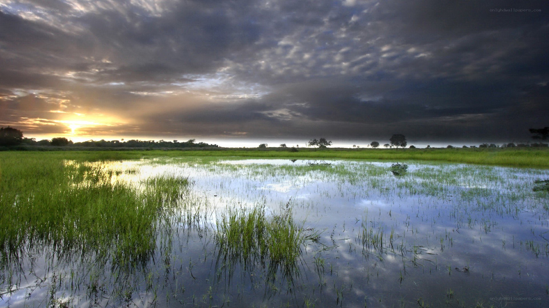Sunset over a flooded field
