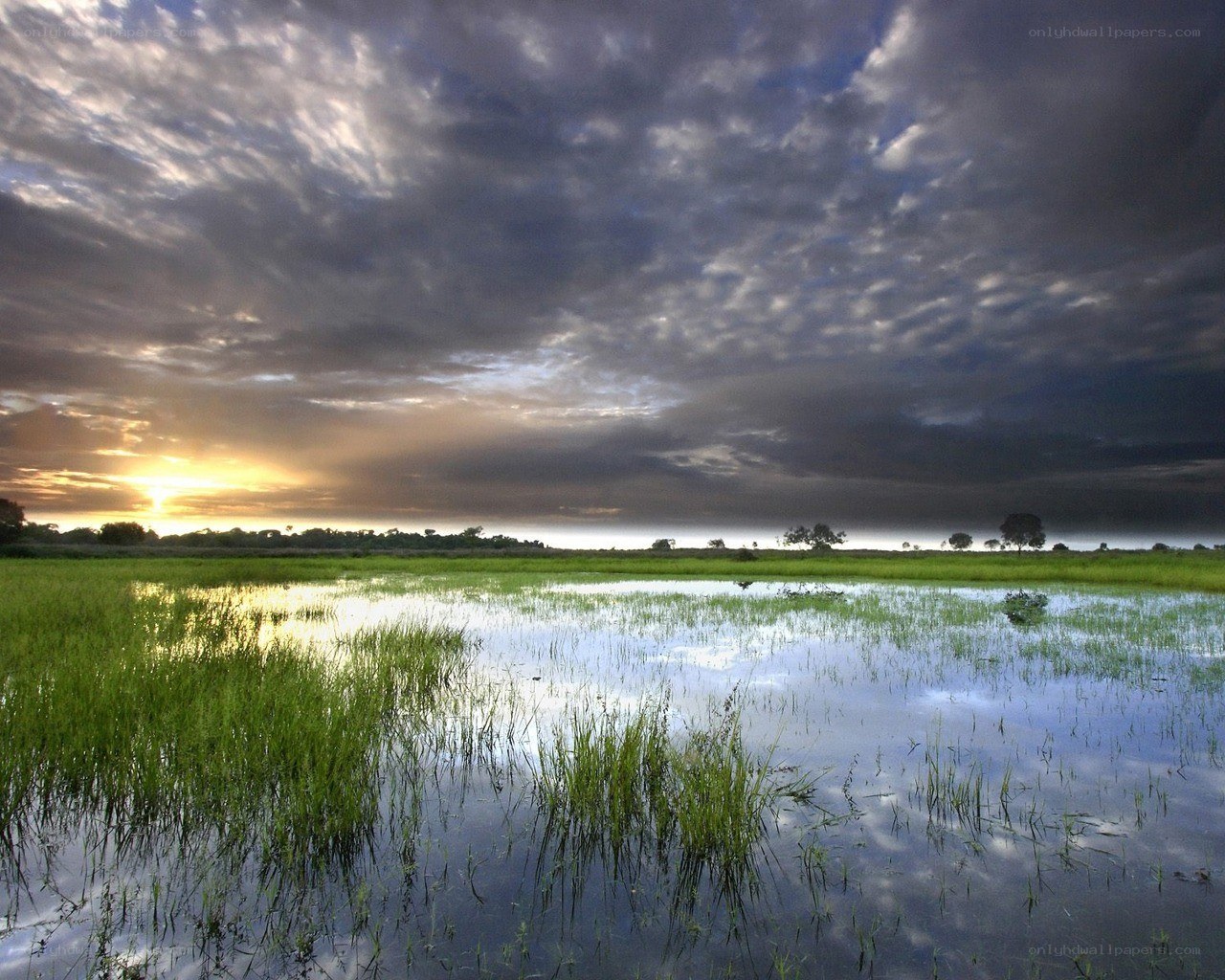 Sunset over a flooded field
