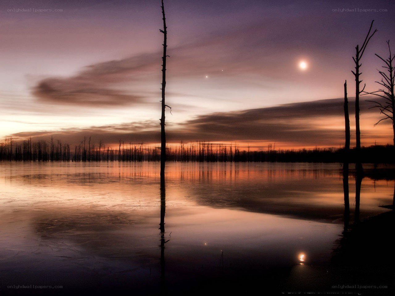 Sunset over a flooded forest