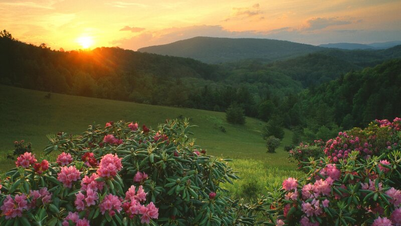 Sunset over a floral valley