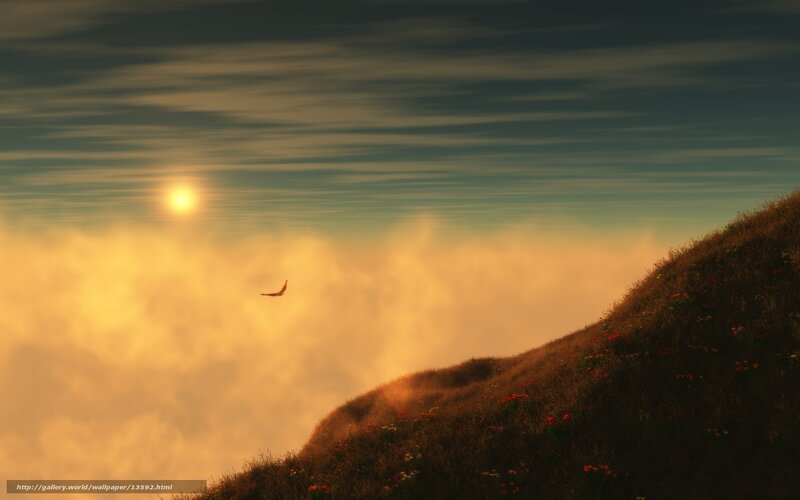 Sunset over a flowered hill