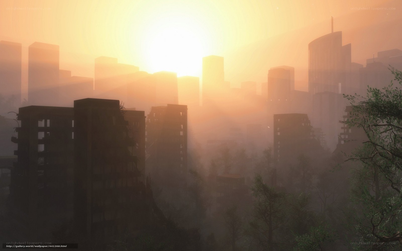 Sunset over a foggy city