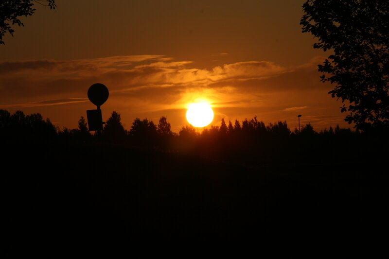 Sunset over a forest