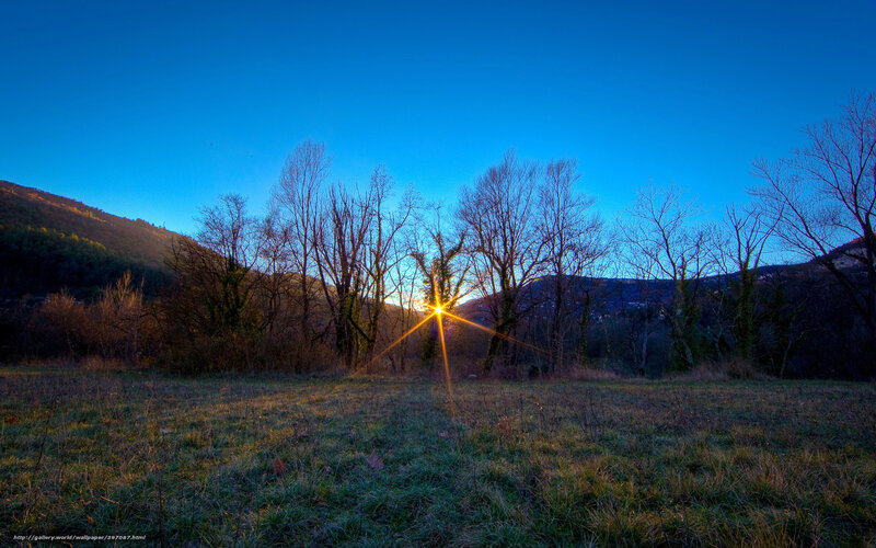 Sunset over a forest clearing