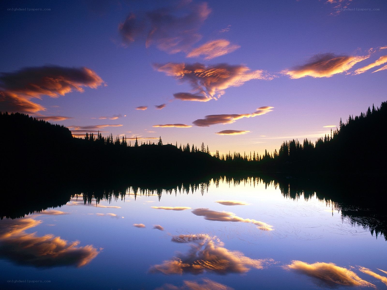 Sunset over a forest lake
