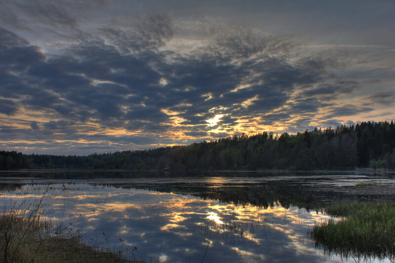 Sunset over a forest lake