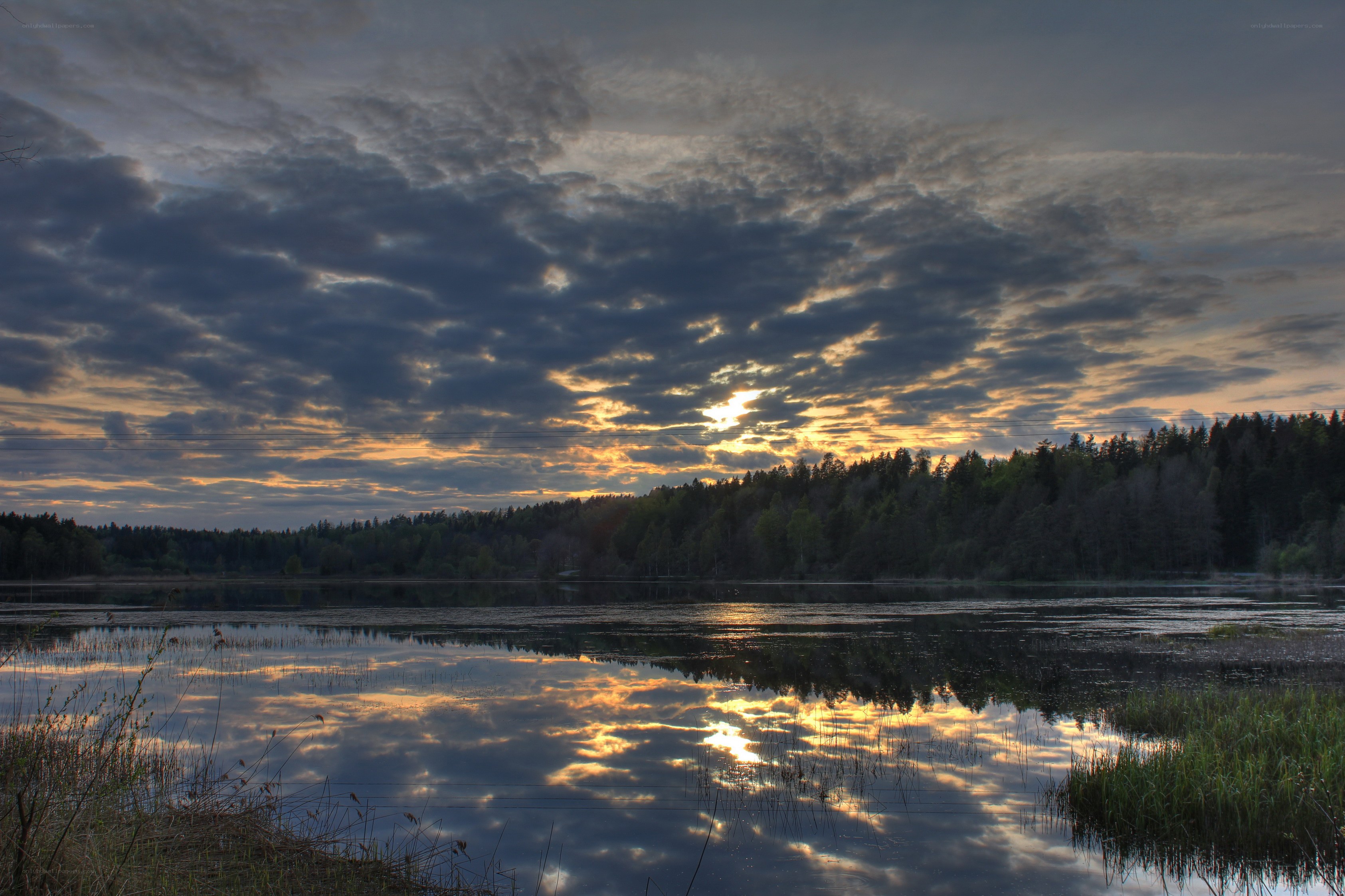 Sunset over a forest lake