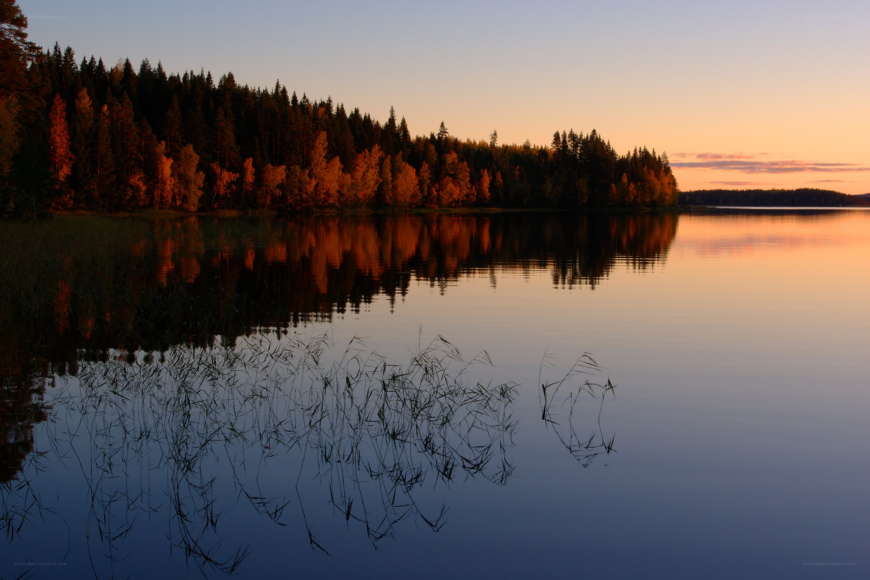 Sunset over a forest lake