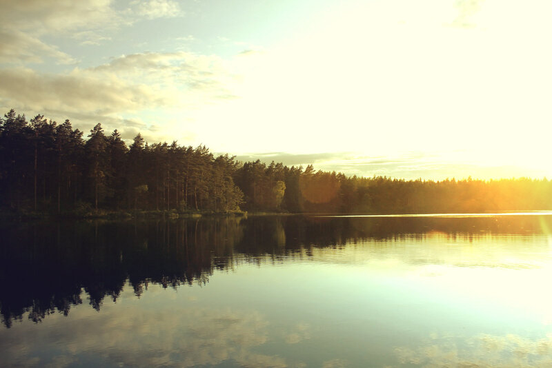 Sunset over a forest lake