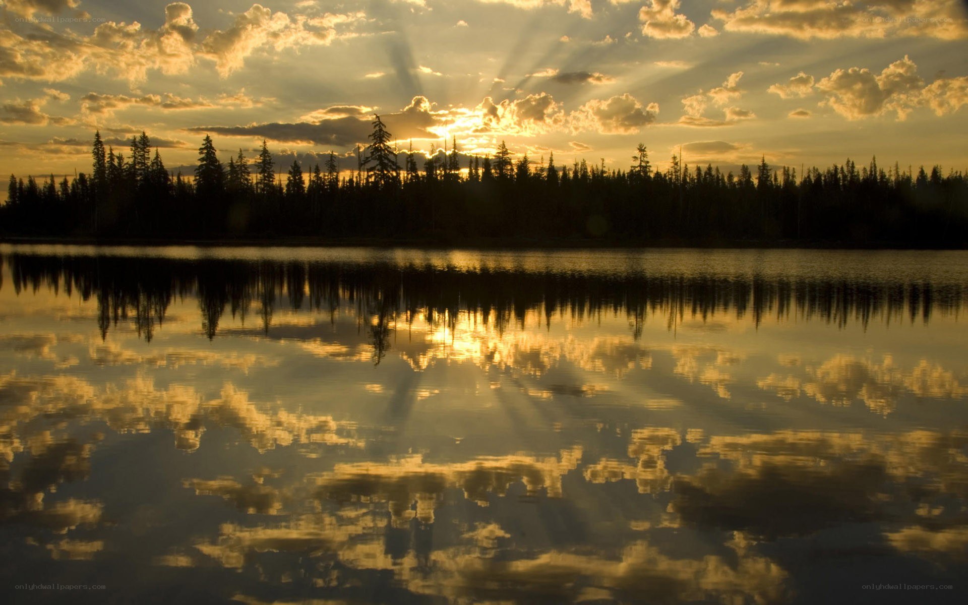 Sunset over a forest lake