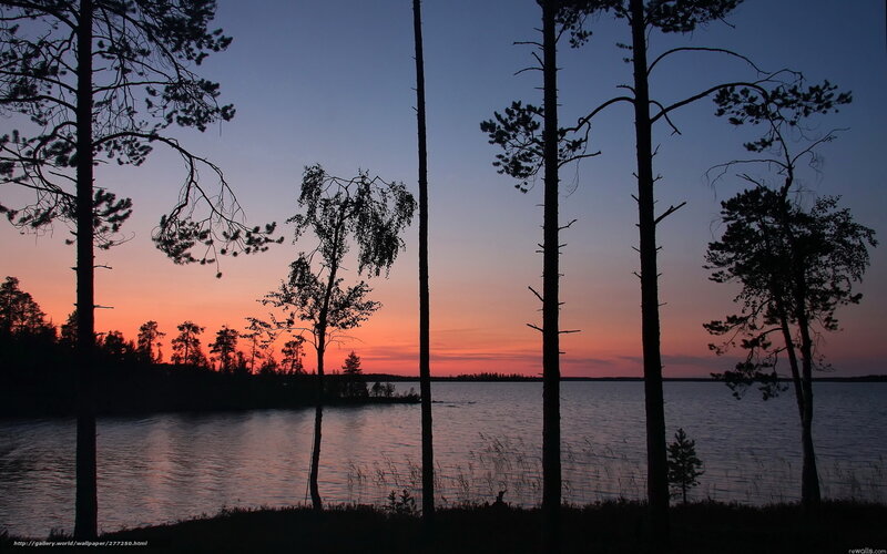 sunset over a forest lake