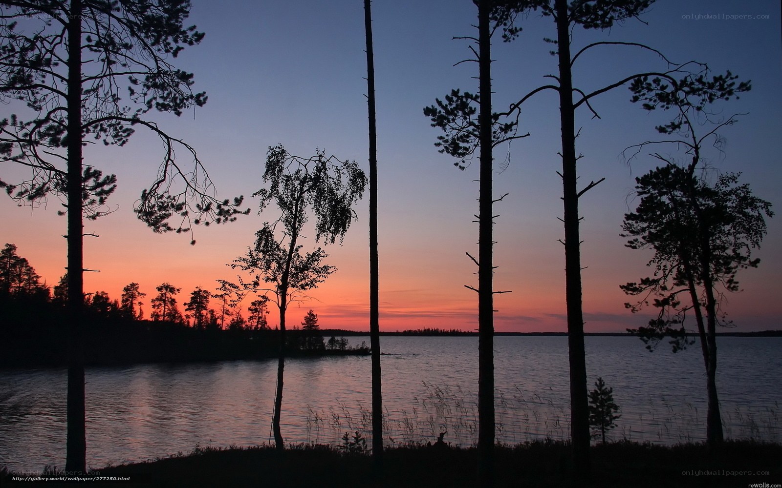 sunset over a forest lake