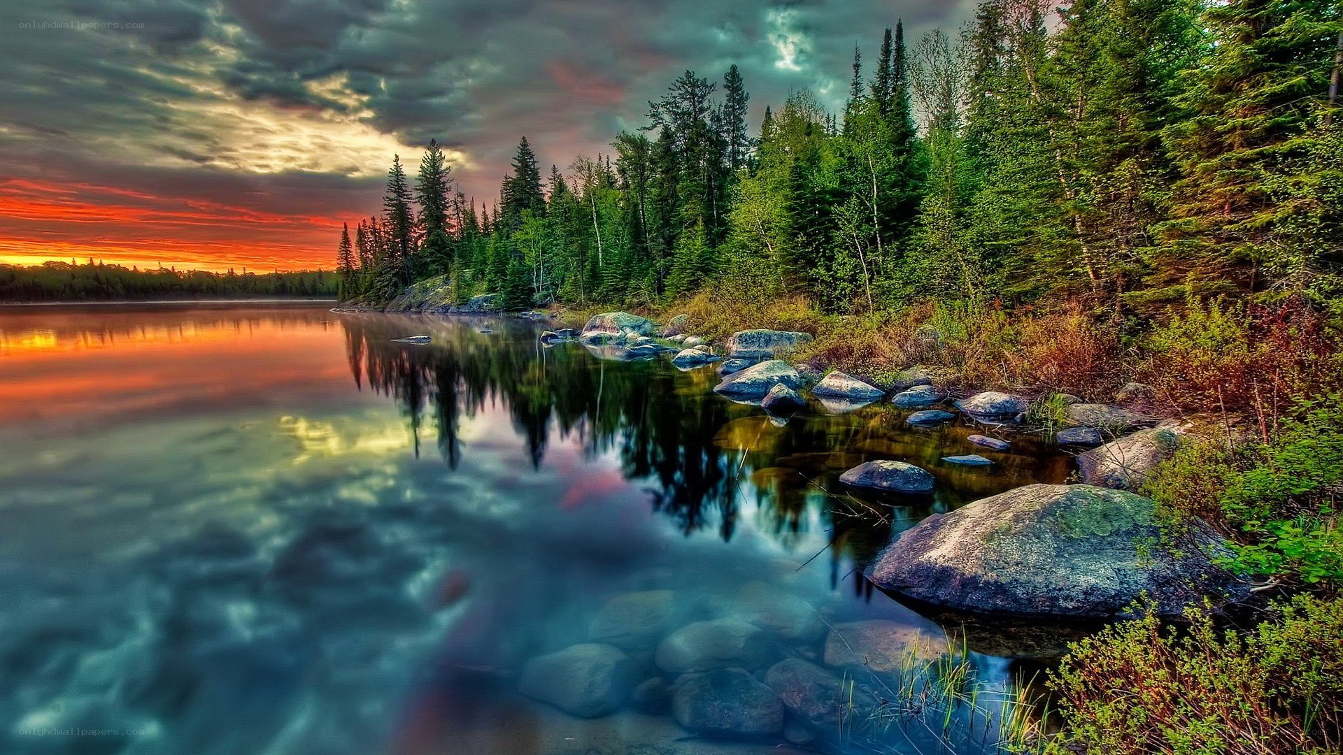 Sunset over a forest lake