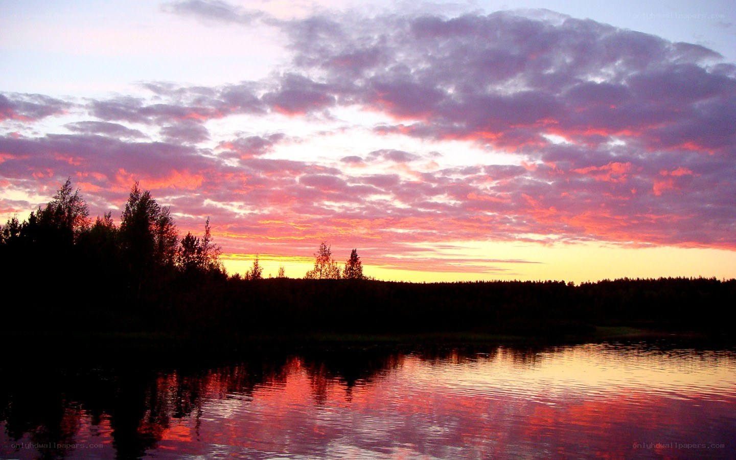 Sunset over a forest lake