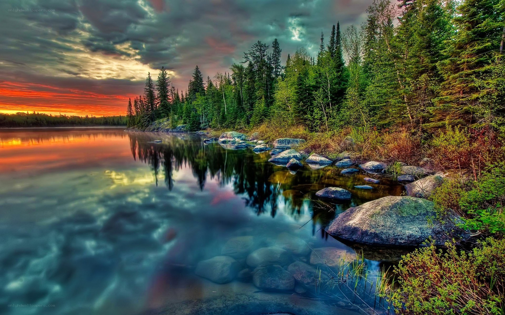 Sunset over a forest lake