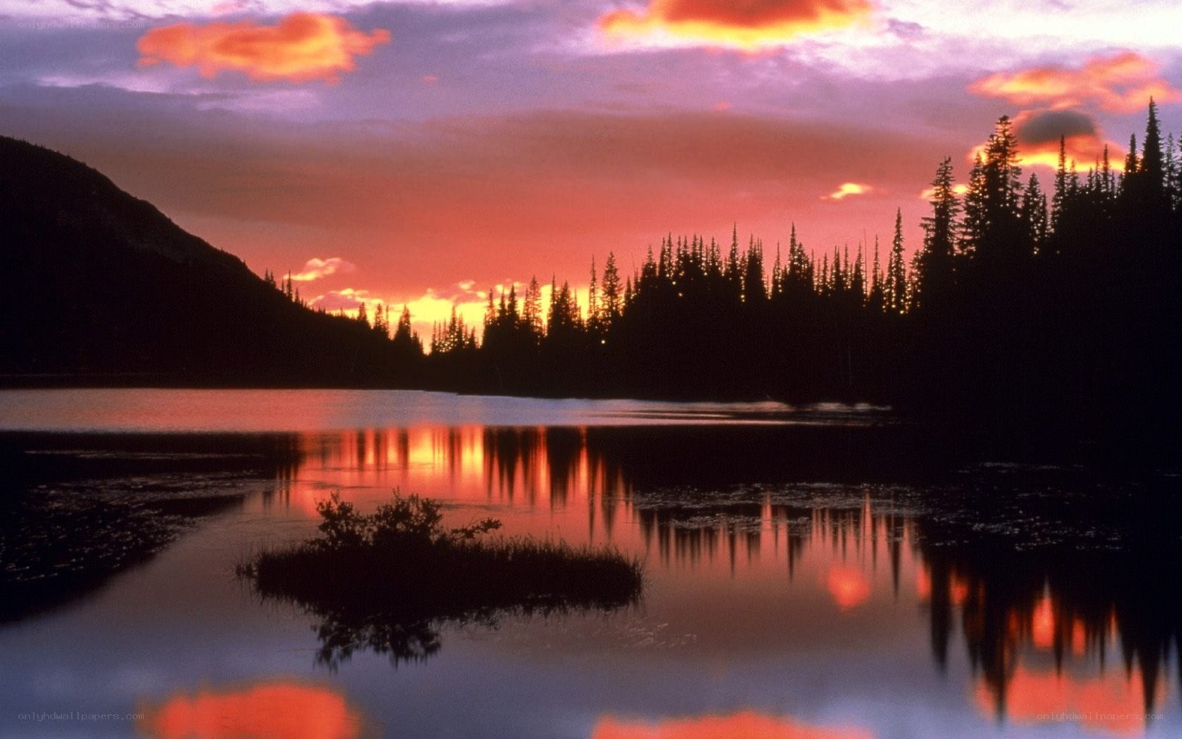sunset over a forest lake