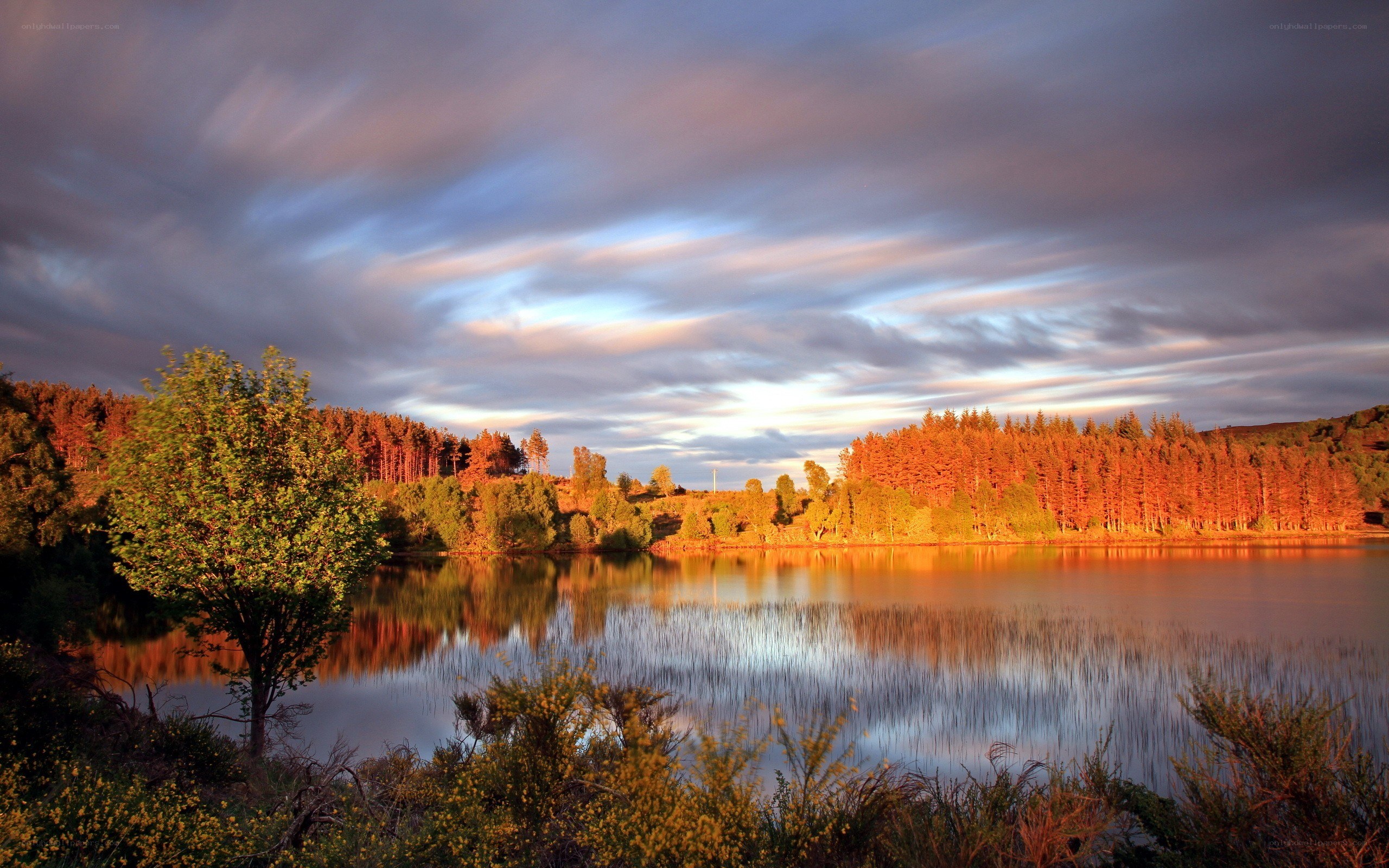 Sunset over a forest lake
