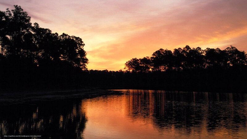 sunset over a forest lake