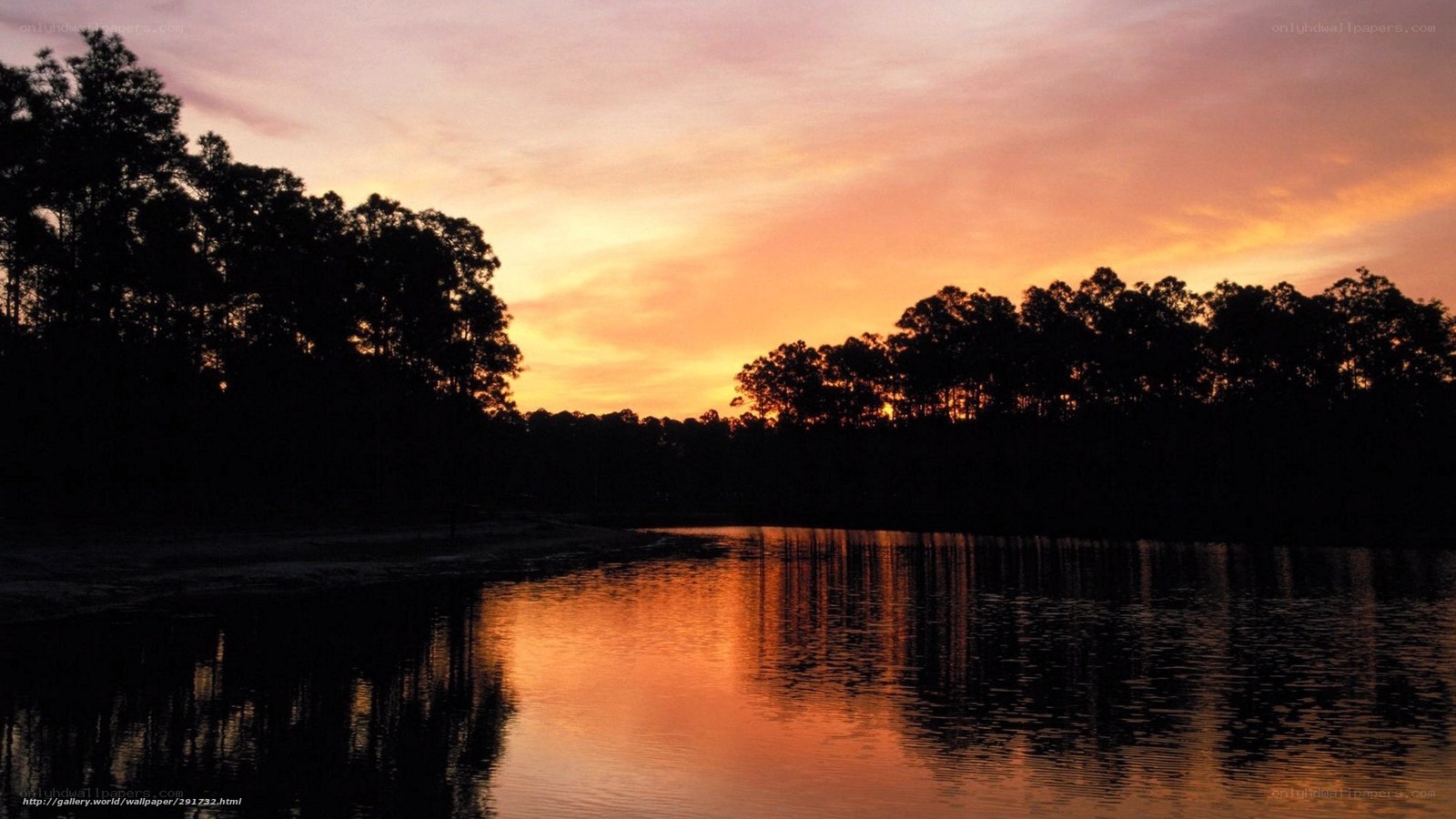 sunset over a forest lake