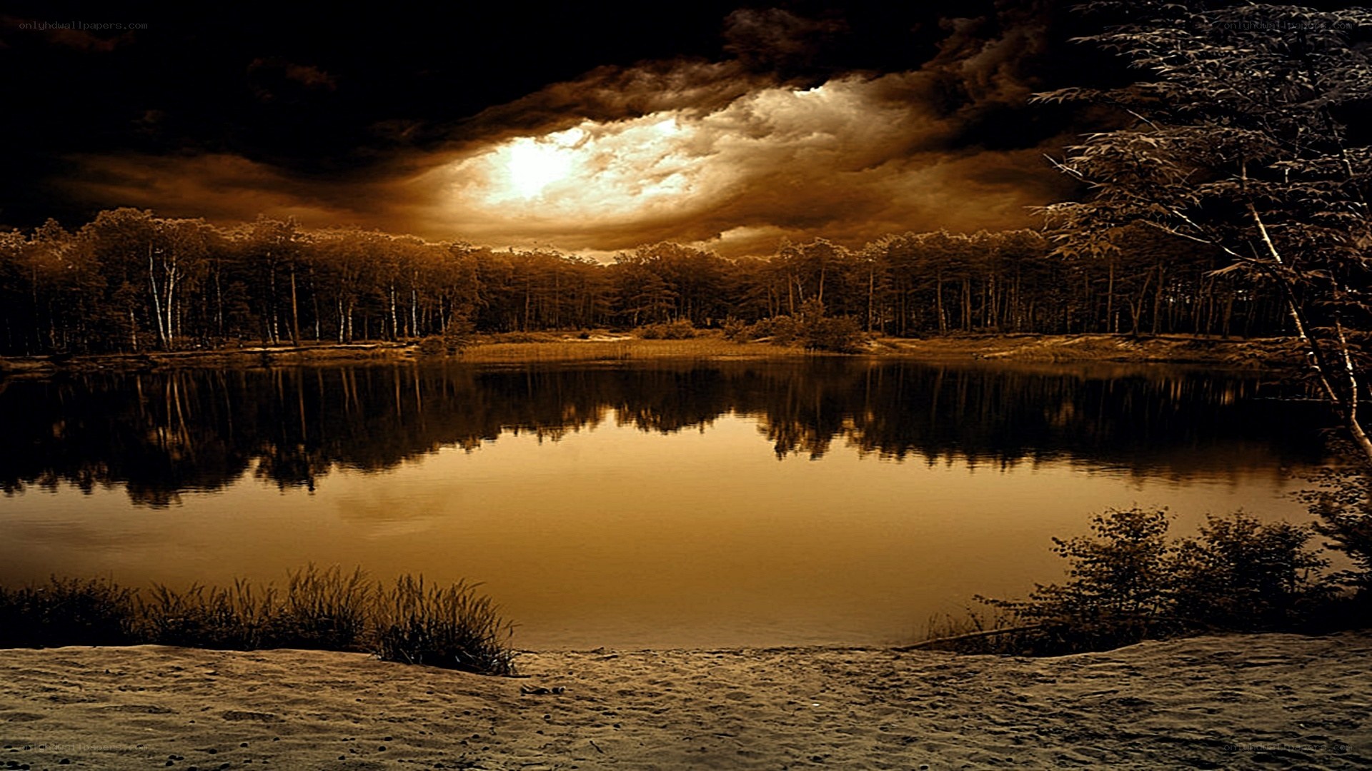sunset over a forest lake