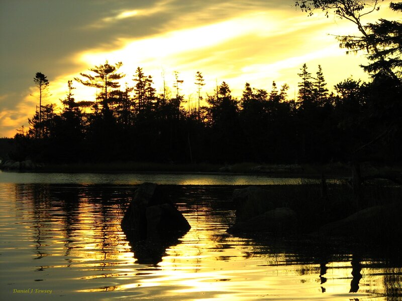 Sunset over a forest lake