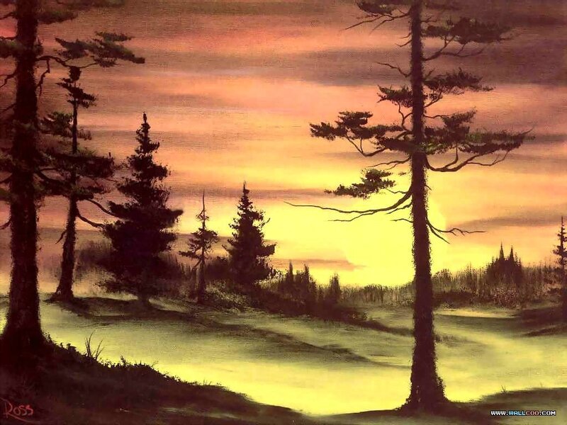 Sunset over a forest lake
