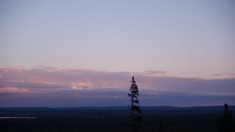sunset over a forest landscape