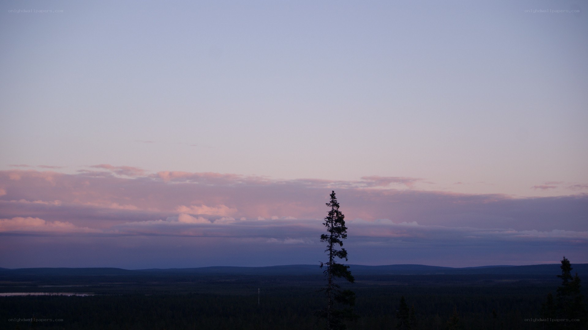 sunset over a forest landscape