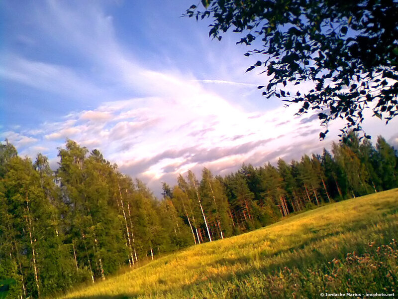 Sunset over a forest meadow