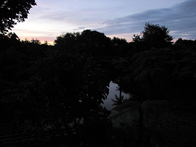 sunset over a forest pond