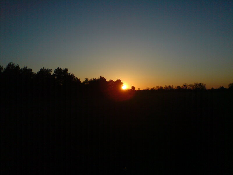 Sunset over a forest silhouette