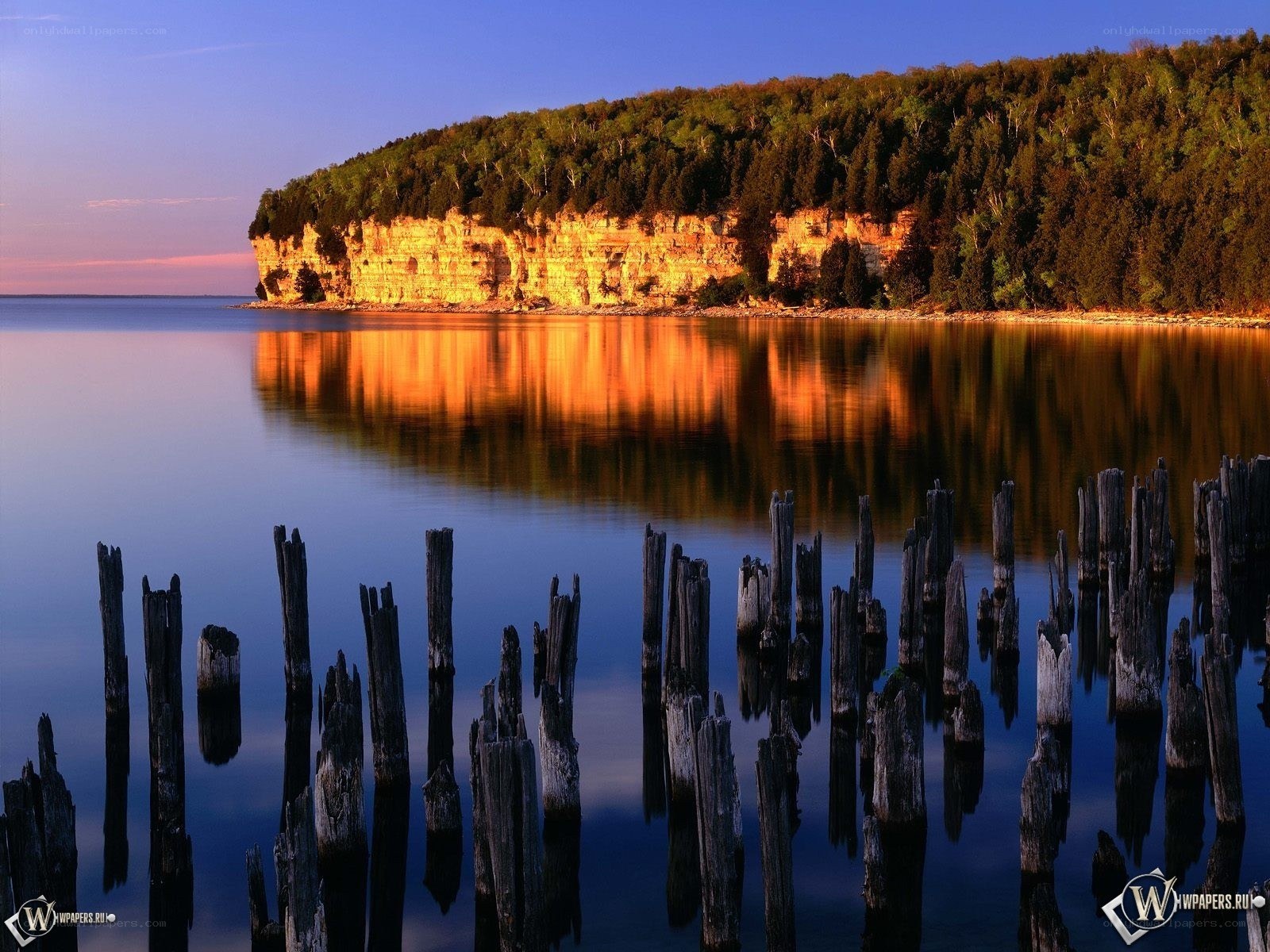 Sunset over a forested cliff