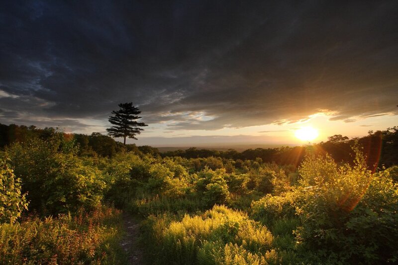 Sunset over a forested hill